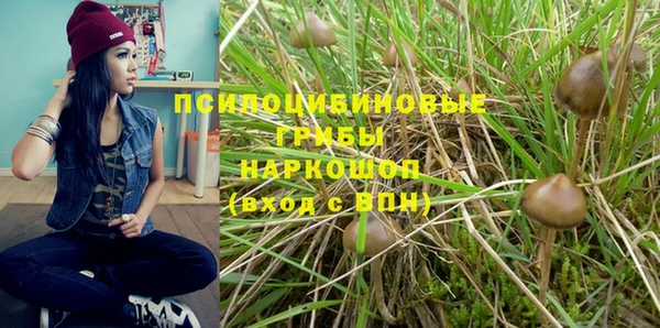 гидропоника Алексеевка