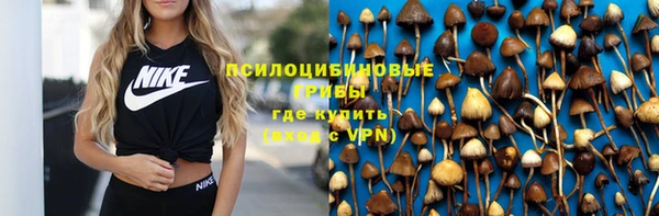 гидропоника Алексеевка