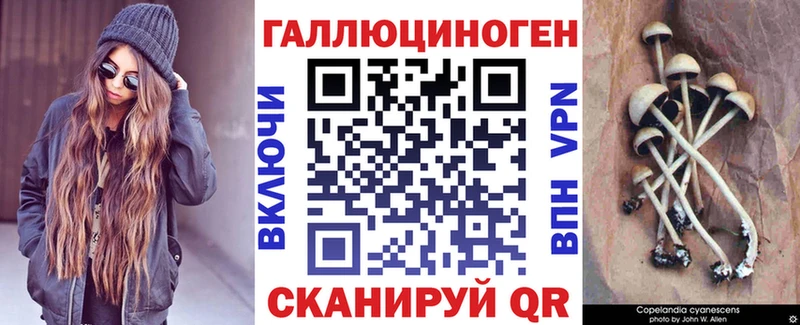 Псилоцибиновые грибы MAGIC MUSHROOMS  где можно купить   Ленинск-Кузнецкий 