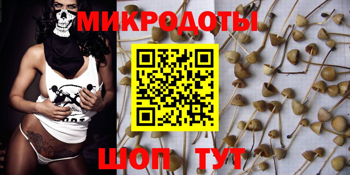 Галлюциногенные грибы MAGIC MUSHROOMS  Ленинск-Кузнецкий  Галлюциногенные грибы мухоморы 