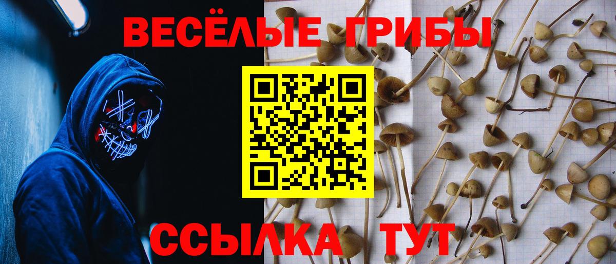 Псилоцибиновые грибы мухоморы Ленинск-Кузнецкий