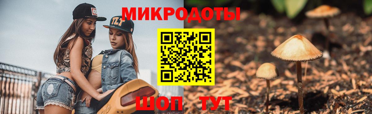 Ленинск-Кузнецкий  Галлюциногенные грибы прущие грибы  Вход с VPN 